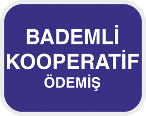 BADEMLI