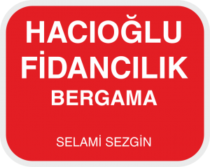 HACIOGLU