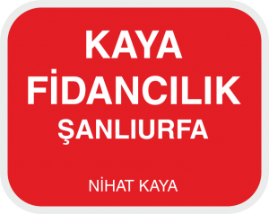 KAYA