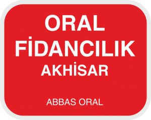 ORAL