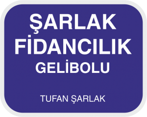 SARLAK